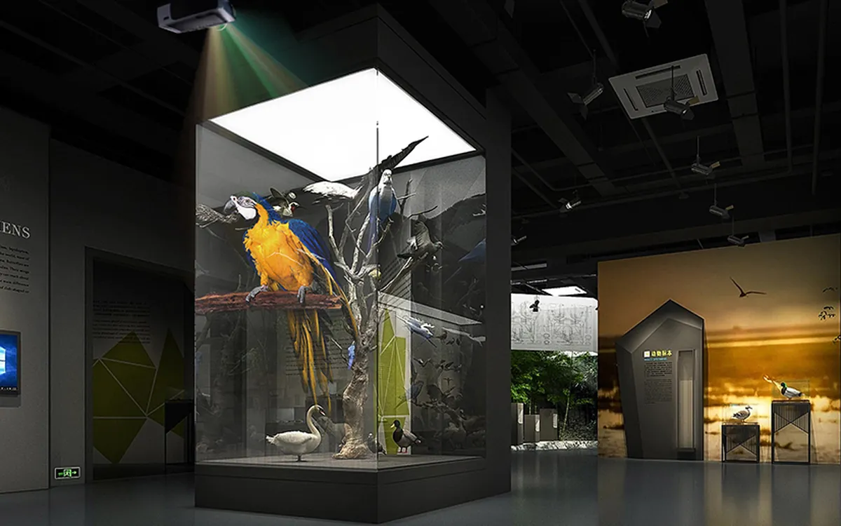 Holographic film suspending an image inside a museum case